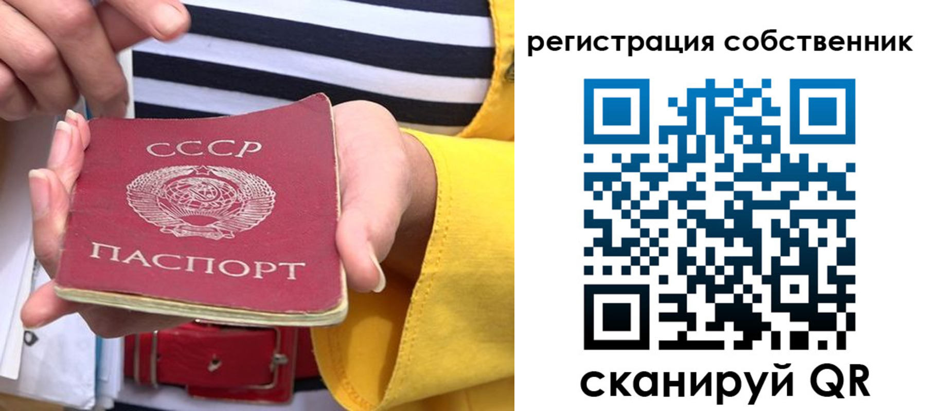 временная прописка в Камышлове
